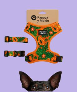 Adjustable Harness & Collar Set – Tropical Fruit Pattern