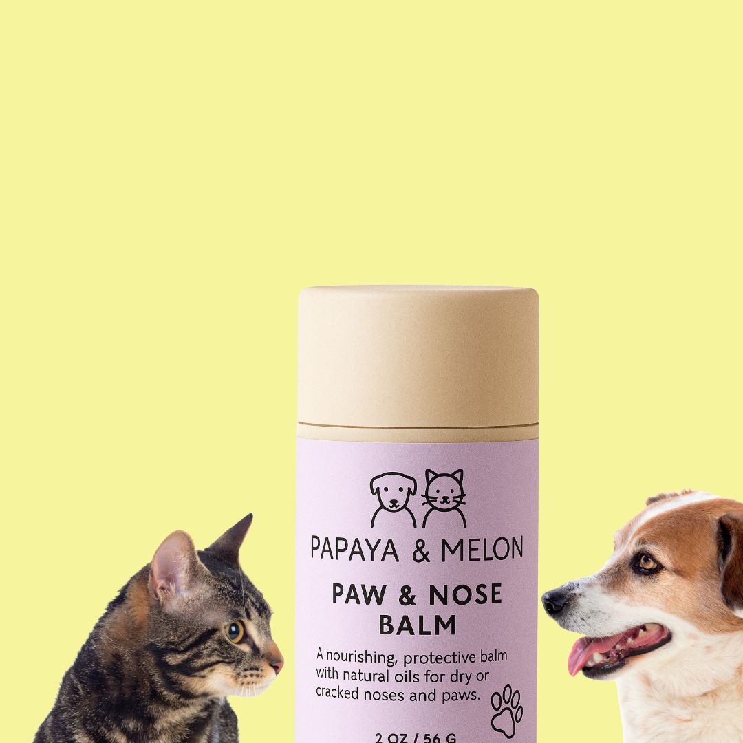 Soothing Paw & Nose Balm – Natural Protection for Pets