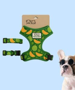 Adjustable Harness & Collar Set – Tropical Fruit Pattern