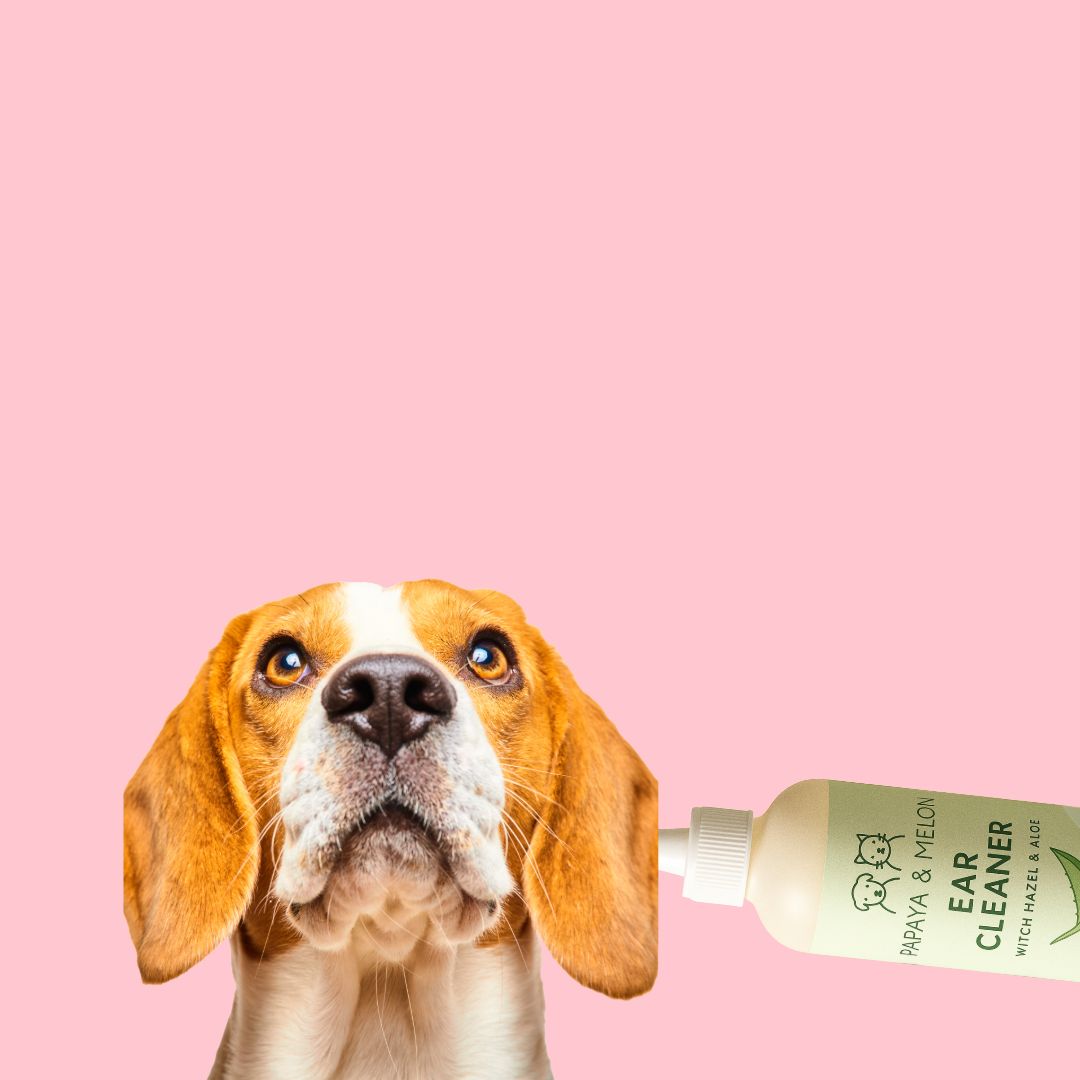 Natural Ear Cleaner with Aloe & Witch Hazel