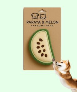 Melon Plush Toy